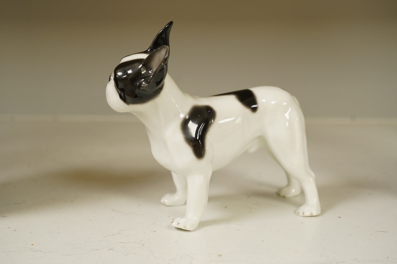 Heubach Kunst Porzellan, a standing French bulldog, 14cm high. Condition - good